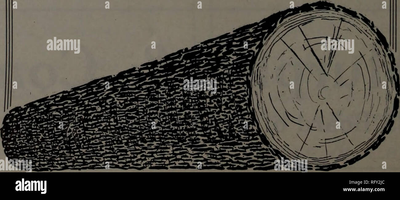 . Kanadische Forstindustrie Januar-Juni 1915. Holzschlag; Wälder und Forstwirtschaft; Wald; Wald - zellstoffindustrie; Holz verarbeitenden Industrien. Hergestellt Bauholz Weiß und Norwegen Kiefer Hemlock und Fichte Natur am Besten in den Wäldern Mann am Besten bei der Herstellung Export Schnittholz im Auto und Ladung Sendungen gefeiert Muskoka Birch Ontario Ontario Ontario Ahorn Esche Weiß Linden Soft Elm Diamond Marke Ende abgestimmt Parkett W, T. Eagen, 2 Toronto, Kanada Hauptsitz: Toronto Straße. Wir kaufen, Segel und viel in alle Arten von Holz und Holz in Can-ada und United States i Spruca Kiefer, Weiß und Bas Stockfoto