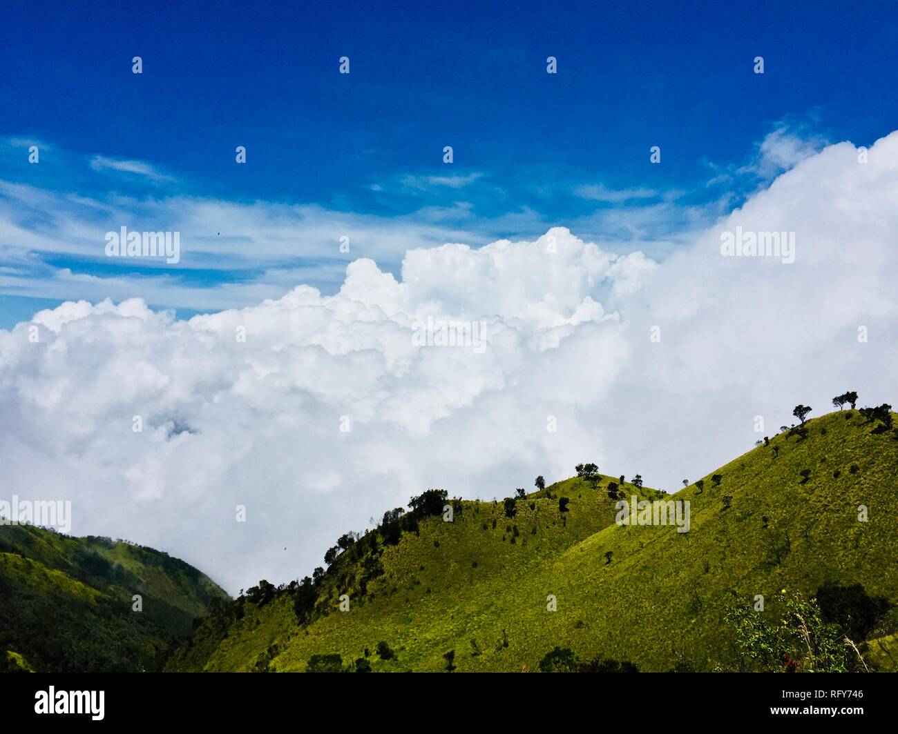 Mount Merbabu Wandererlebnis Stockfoto