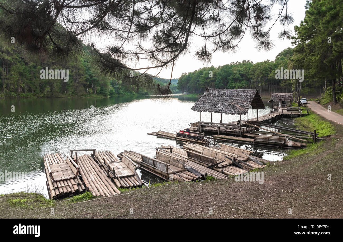 Pang Ung Forstwirtschaft, Mae Hong Son Thailand. Stockfoto