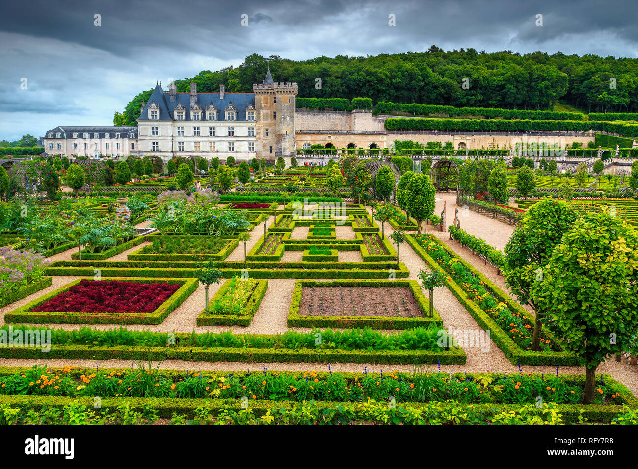 Super Ausflugsziel, prächtige berühmten Schloss Villandry, bunte ornamentale Garten mit Blumen und Gemüse, Loire Tal, Frankreich, Europ. Stockfoto
