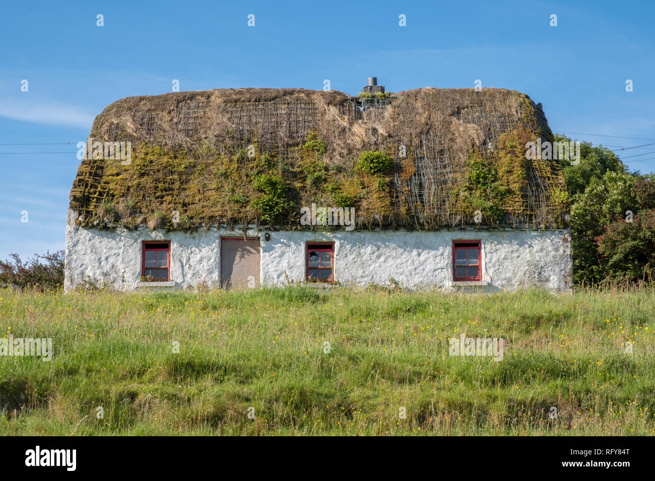 Verlassenen Hof Haus auf der irischen Insel. Weiße Wände grasbewachsenen Dach auseinander. Die Erfassung auf einem blauen Himmel. Stockfoto