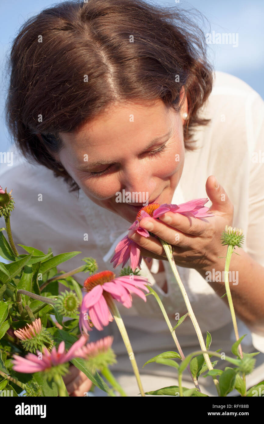 Echter Bauer Frau in coneflower Feld Stockfoto