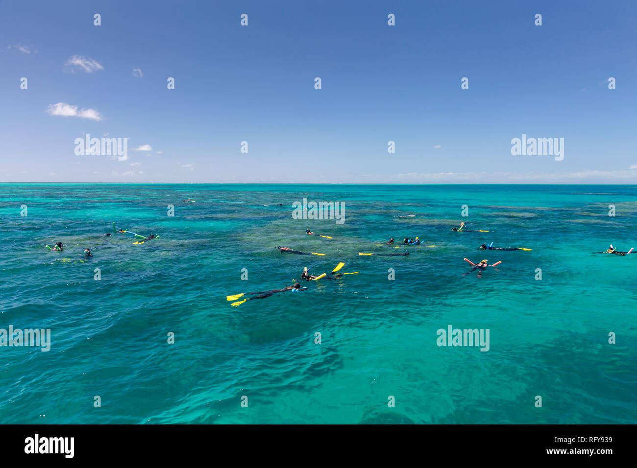 Menschen Schnorcheln am Great Barrier Reef in Queensland, Australien zu erkunden Stockfoto