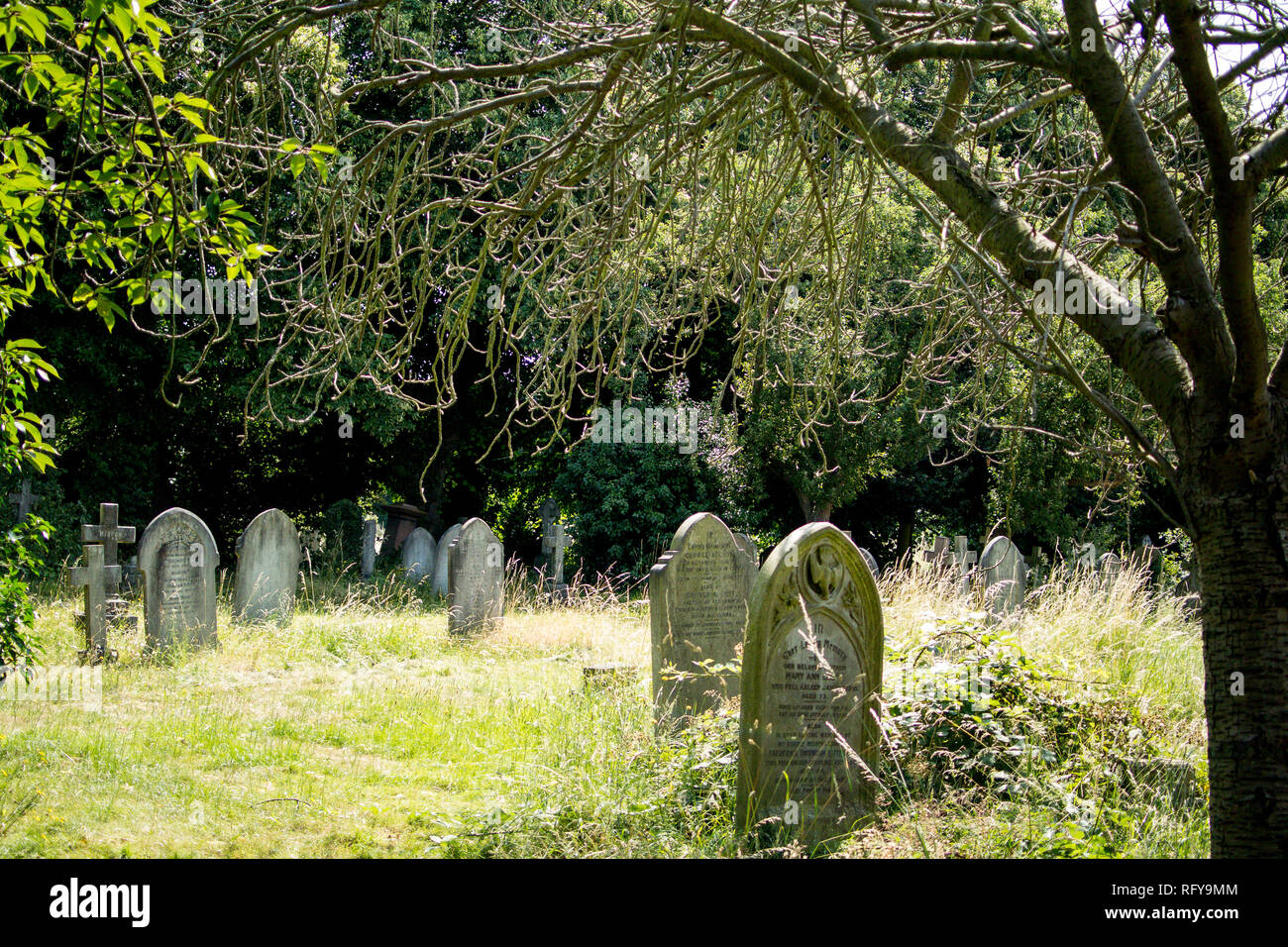 Gebogene Grabsteine im langen Gras unter Baum auf dem Friedhof bei Fulham Palace Road Friedhof in London Stockfoto