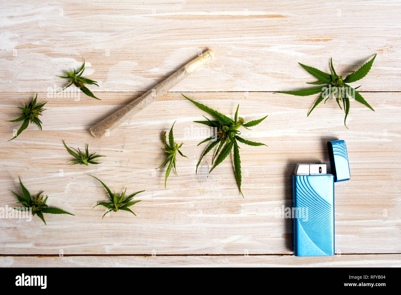 Marihuana Pflanze mit Knospen und gemeinsame auf einem Holztisch Stockfoto