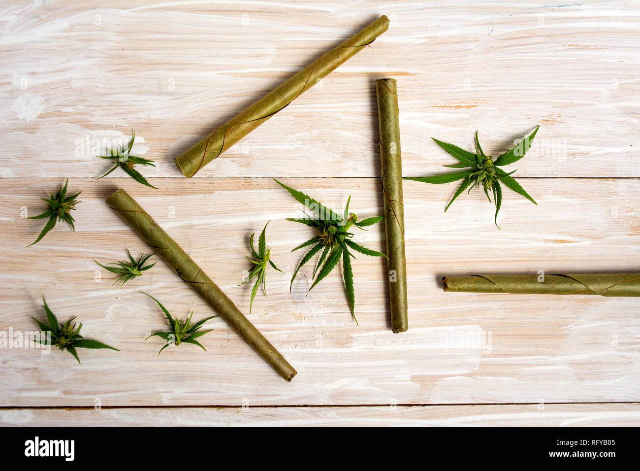 Marihuana Pflanze mit Knospen und gemeinsame auf einem Holztisch Stockfoto