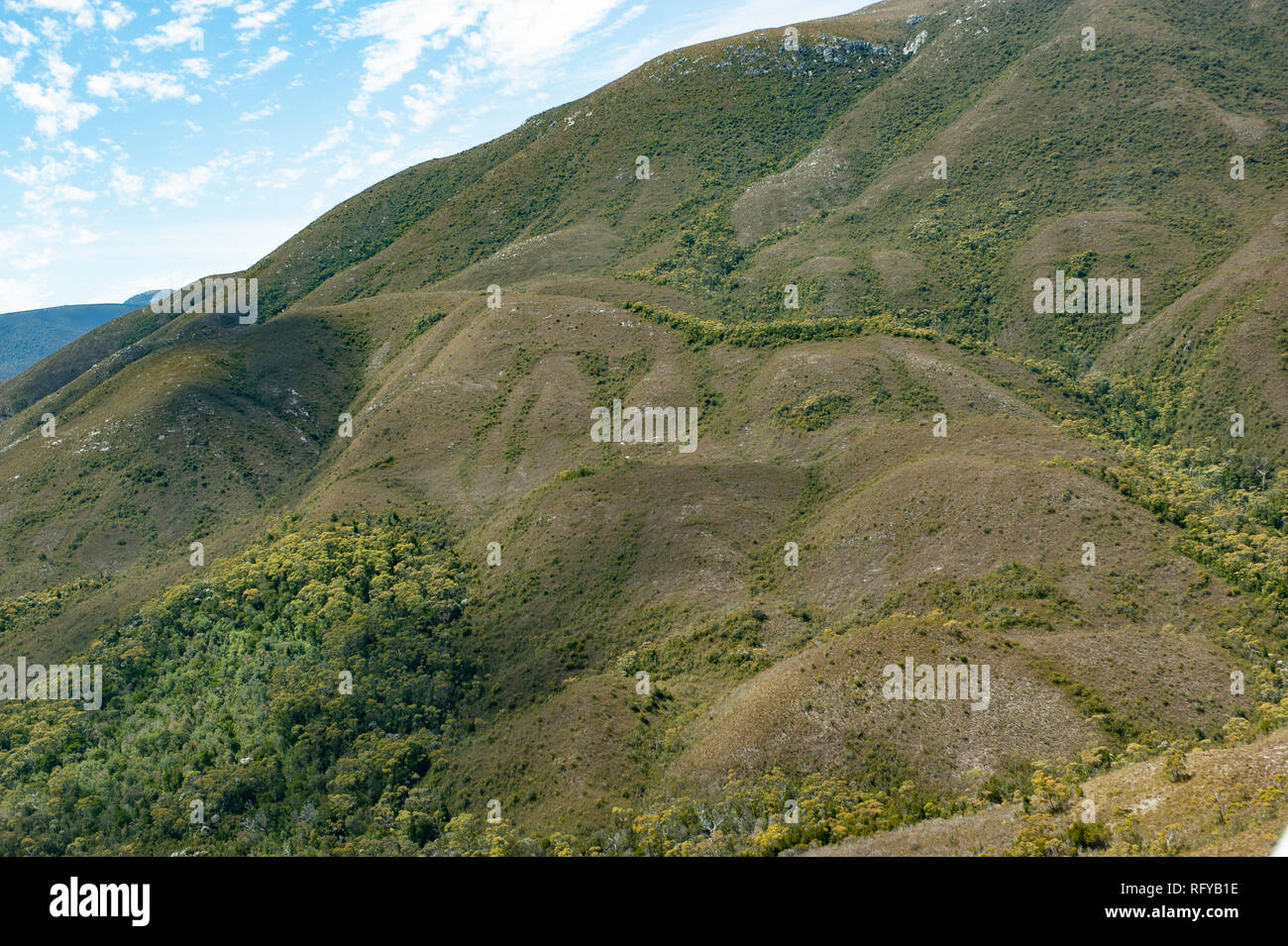 South West Wildnis Tasmaniens, Australien Stockfoto