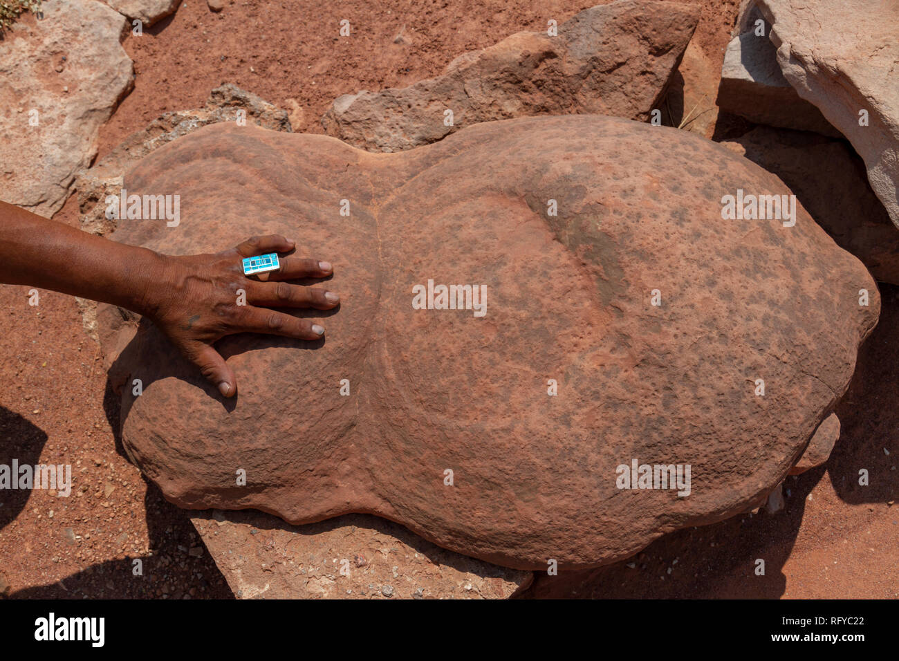 Geologische Konkretionen mit einem mans hand für Skala, Moenkopi Dinosaurierspuren in der Nähe von Tuba City, Arizona, United States. Stockfoto