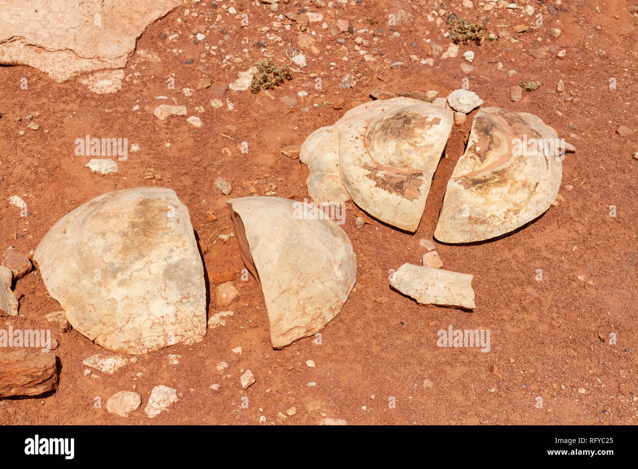 Geologische Konkretionen, Moenkopi Dinosaurierspuren in der Nähe von Tuba City, Arizona, United States. Stockfoto