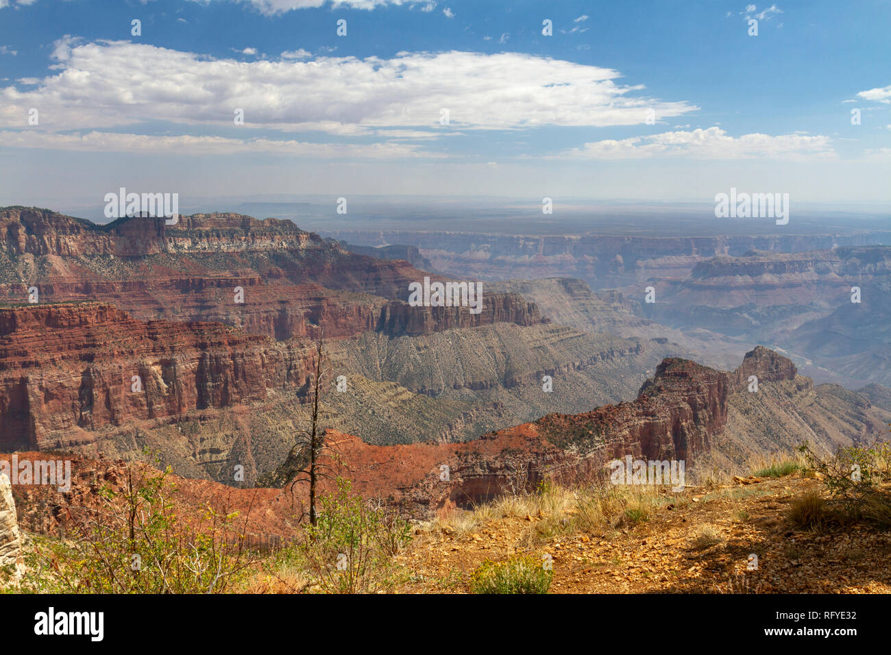 Blick vom Aussichtspunkt Point Imperial, Grand Canyon North Rim, California, United States. Stockfoto