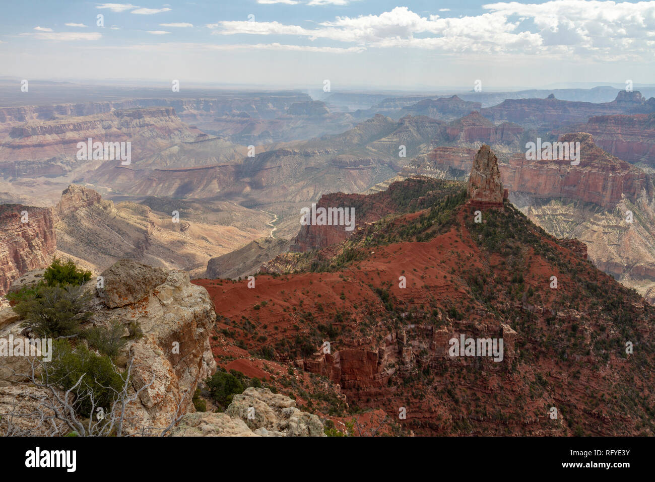 Blick vom Aussichtspunkt Point Imperial, Grand Canyon North Rim, California, United States. Stockfoto