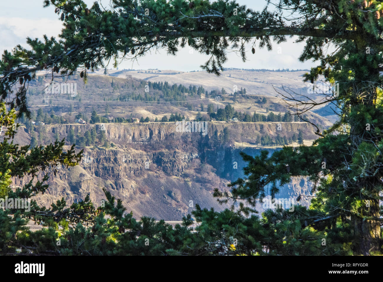 Columbia River Basaltfelsen im Staat Washington Seite des Columbia River, gesehen von der Oregon State-Seite. Stockfoto