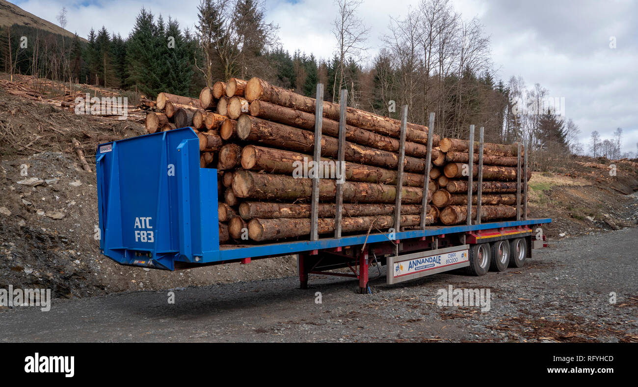 Protokollierung - Lichtung - Balquhidder, Stirling, Schottland, UK Stockfoto