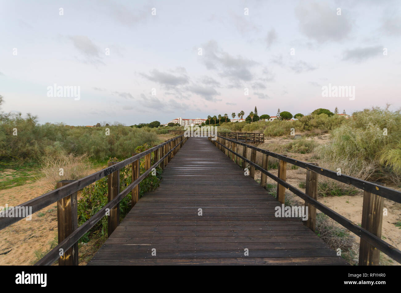 Holzsteg und Coastal dune Vegetation am Strand, Praia da Manta Rota, Algarve, Portugal. Stockfoto