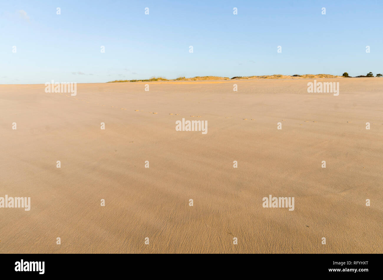 Breite Küste Strand, Praia da Manta Rota, Algarve, Portugal. Stockfoto