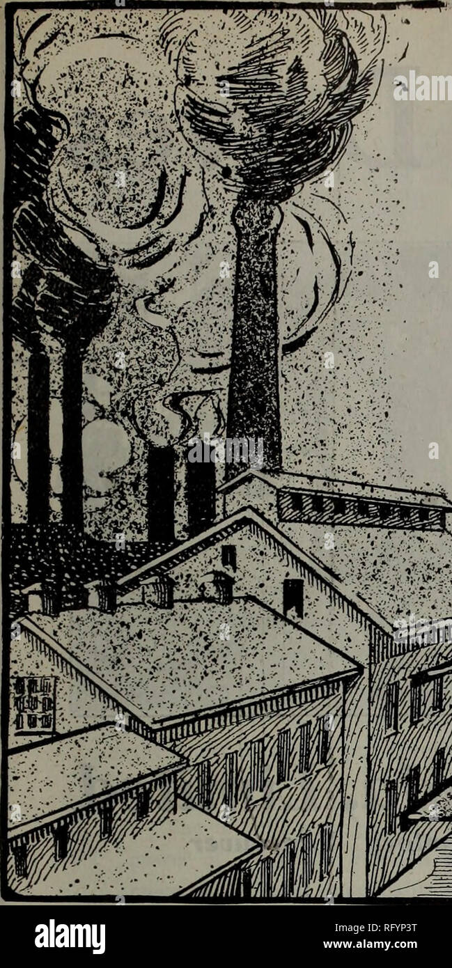 . Kanadische Forstindustrie Januar-Juni 1922. Holzschlag; Wälder und Forstwirtschaft; Wald; Wald - zellstoffindustrie; Holz verarbeitenden Industrien. Kanada LUMBERMAN. Eine gute Band spart Geld das Geld in eine Dehnung der Riemen straff Beträge zu einem überraschenden Bild verschwendet. Wenn Sie "goodhue "Riemen" in der Mühle ol-Fabrik, die Sie am meisten von diesem Geld, weil "goodhue Riemen "Strecken weniger um 15 bis 25 Prozent, als jede andere Band speichern können. Sie sind aus geschickt ausgewählten Häute mit dem Stretch aus jedem Abschnitt ergriffen werden, bevor es in die Riemen vorgenommen wird. Nach dem con Stockfoto