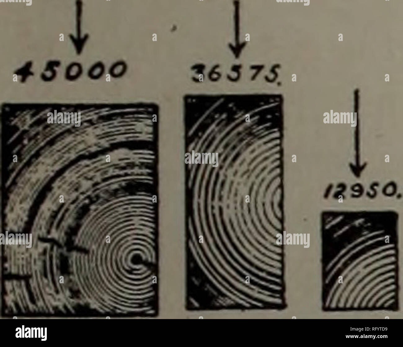 . Kanadische Forstindustrie 1897-1899. Holzschlag; Wälder und Forstwirtschaft; Wald; Wald - zellstoffindustrie; Holz verarbeitenden Industrien. Oktober, 1899 Die KANADA LUMBERMAN 27 STÄRKE DER KANADISCHEN DOUGLAS FIR. Hiermit werden gegeben, im Teil, die Resultate der Tests, die unter der Leitung von Professor Bovey im Prüflabor von McGill Uni-versity, Montreal, die Stärke von British Columbia Douglas fir zu bestimmen. Es wurden getestet, in allen 25 Balken, von denen die folgenden Angaben und Abbildungen gegeben sind: Strahl Ich war von guter Qualität, mit durchschnittlichen jährlichen Ringe wie in Abb. 3. An Stockfoto