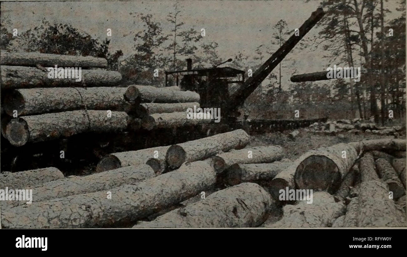 . Kanadische Forstindustrie 1911. Holzschlag; Wälder und Forstwirtschaft; Wald; Wald - zellstoffindustrie; Holz verarbeitenden Industrien. Unterhalt Kosten ein wesentlicher Punkt angesehen werden beim Kauf eines STEAM LOG LOADER. Nur 2,50 $ ein Jahr für Reparaturen an den oben genannten "amerikanischen" LOG LOADER, ständig im Einsatz für vier Jahre. In dieser Zeit 40.000 ft geladen. von Protokollen täglich, außer das, viel außerhalb der Arbeit, wie Rammen - Abholung Wracks - Verschieben von tragbaren Camp Häuser, und vieles Verschiedenes Heben. (Unsere nächsten Ad. wird Sie interessieren.) AMERICAN HOIST & Amp; DERRICK FIRMA ST. PAUL, MIN. Stockfoto