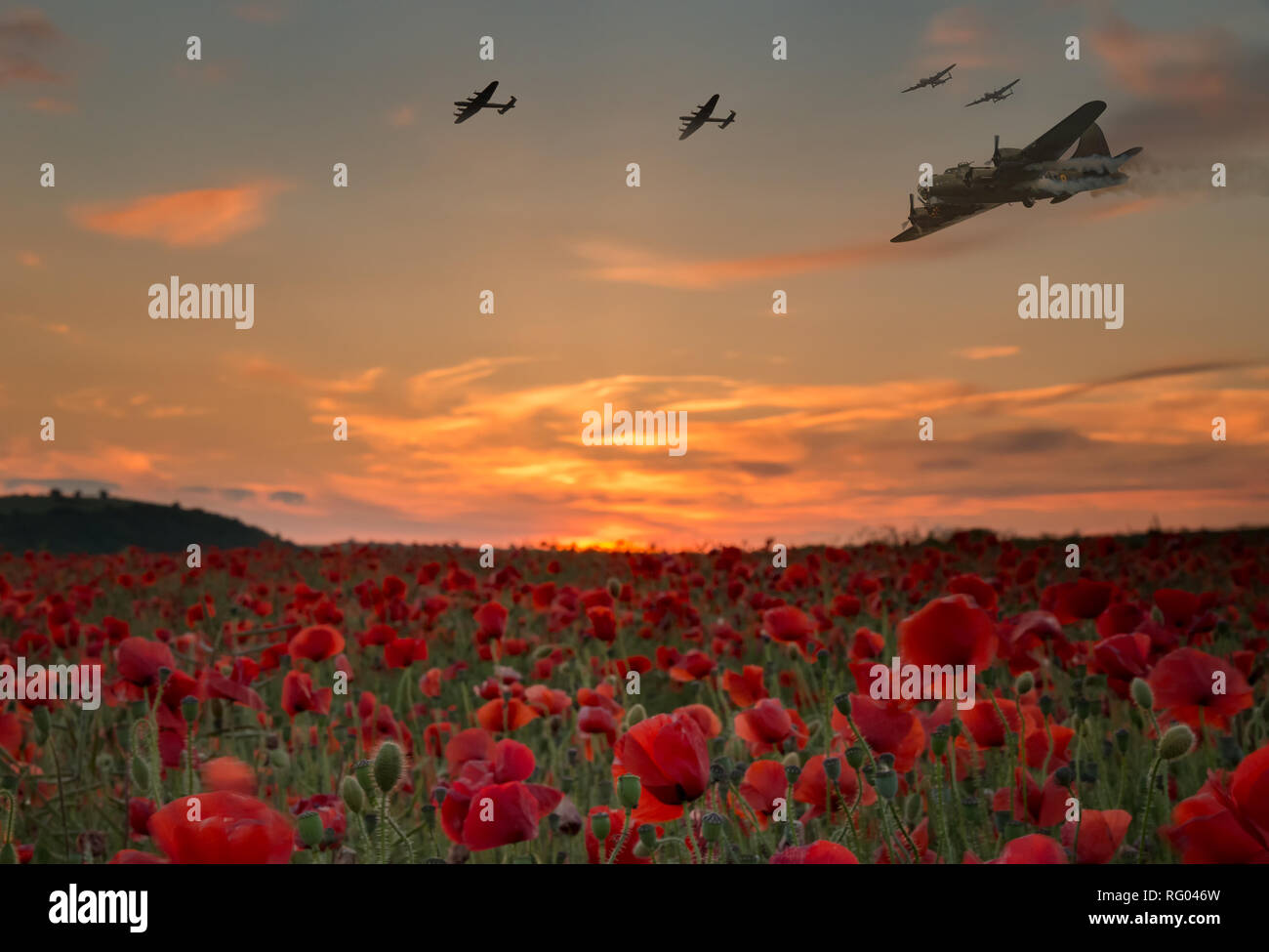 Damit wir es nicht vergessen, die Szene der Bomber Flugzeuge fliegen über ein Mohnfeld, wie die Sonne untergeht, Anzac Tag und Tag der Erinnerung. Stockfoto