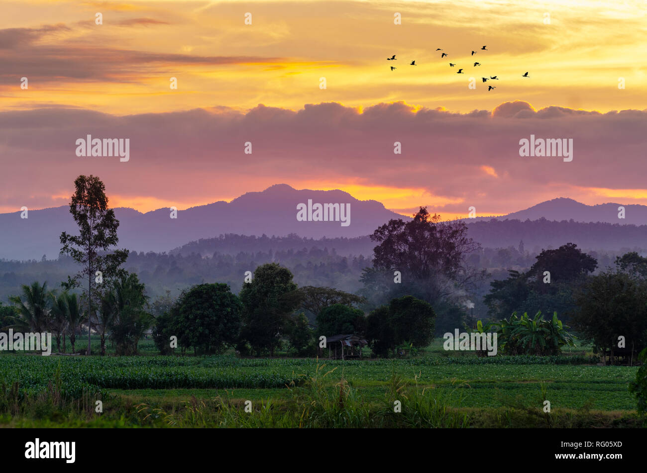 Am Abend werden in der Golden Sky, Bergblick in Chiang Mai Thailand Stockfoto