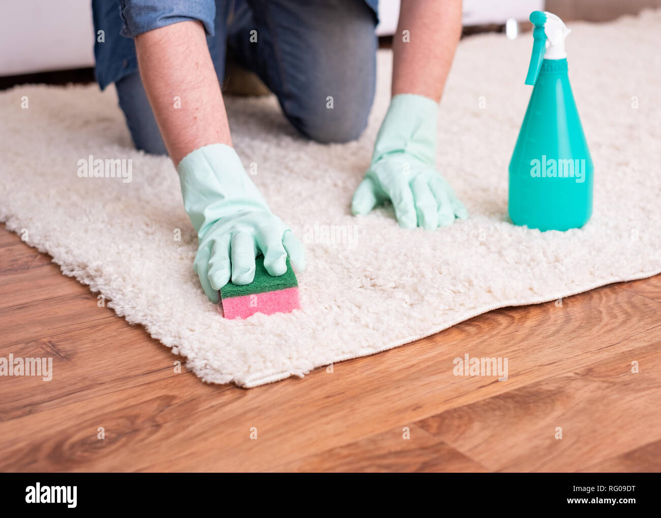 Reinigung Teppich Flecken mit Schwamm und Fleckenentferner Stockfotografie  - Alamy