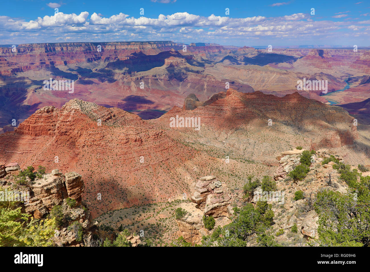 Der Grand Canyon vom South Rim an der Wüste gesehen in den Grand Canyon National Park, Arizona, Vereinigte Staaten von Amerika Stockfoto