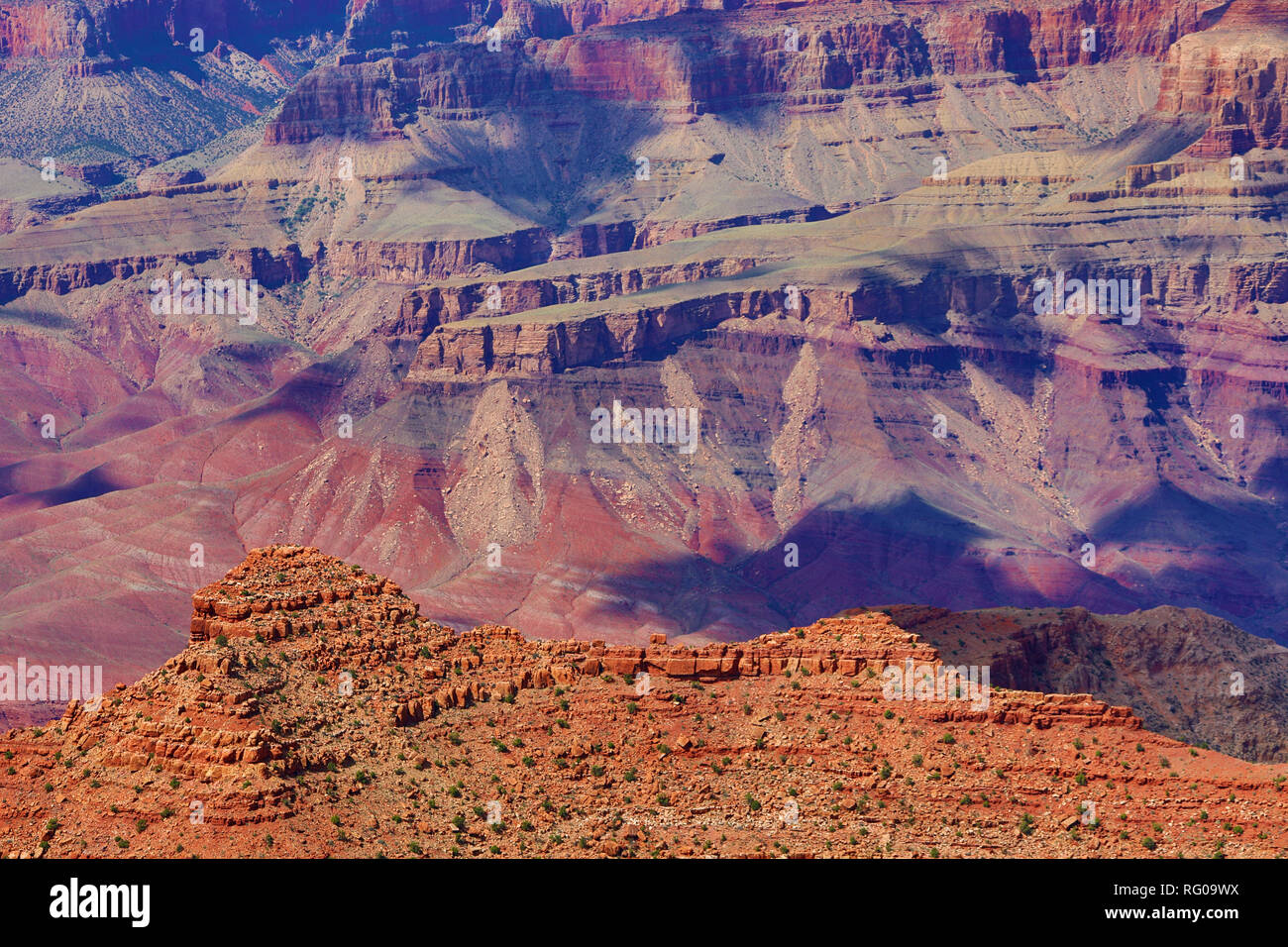 Der Grand Canyon vom South Rim an der Wüste gesehen in den Grand Canyon National Park, Arizona, Vereinigte Staaten von Amerika Stockfoto