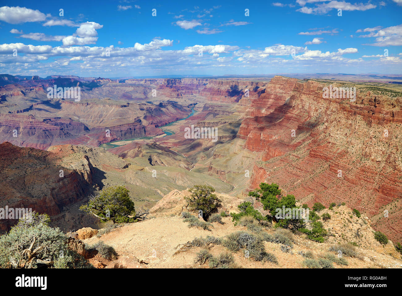 Der Grand Canyon vom South Rim an der Wüste gesehen in den Grand Canyon National Park, Arizona, Vereinigte Staaten von Amerika Stockfoto