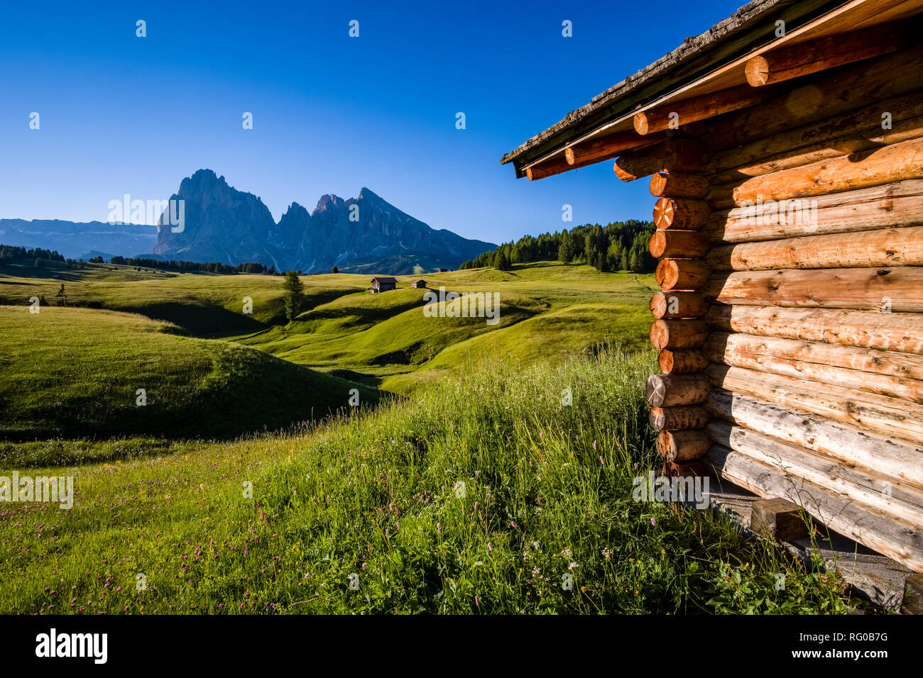 Hügeligen landwirtschaftlichen Landschaft mit grünen Weiden und ein Holzhaus auf der Seiser Alm, Seiser Alm, der Berg Plattkofel, Plattkofel, in der Dist Stockfoto