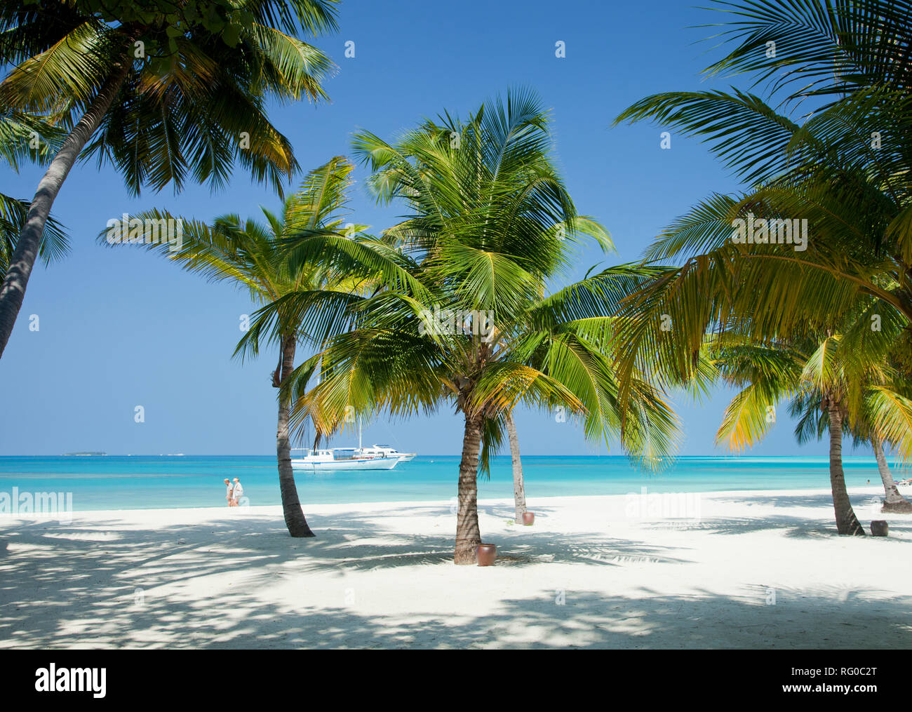 Meeru Island Resort, Malediven, Indischer Ozean, Asien Stockfoto