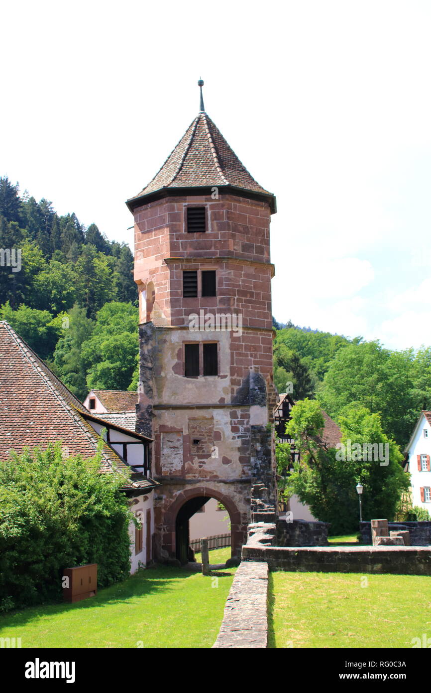 Die Klosterruine in Hirsau bei Calw im Schwarzwald Stockfoto