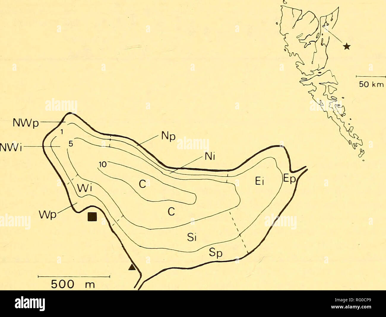 . Die kanadische Feld - naturforscher. 1980 Reimchen und Douglas: Loon Beobachtungen, Queen Charlotte Islands 399. Abbildung L Studie. C = Center, i = Mittelstufe, p = Periphere. N, S, E, W, NW anzeigen Kompass Richtungen. Inset âQueen Charlotte Islands. Â = Aussichtsplattform, â²=Beobachtung blind. Tiefe Konturen in Metern. Abend Beobachtungen. Loon Aktivität, einschließlich Zahlen, Positionen, Bewegung und Tauchen, war auf standardisierte Daten Karten aufgezeichnet. Für die Aufzeichnung von Positionen der Seetaucher, den See visuell in 11 Bereiche unterteilt wurde, entsprechend der Tiefe (von See tran bewertet - Sekten) und Kompass dir Stockfoto