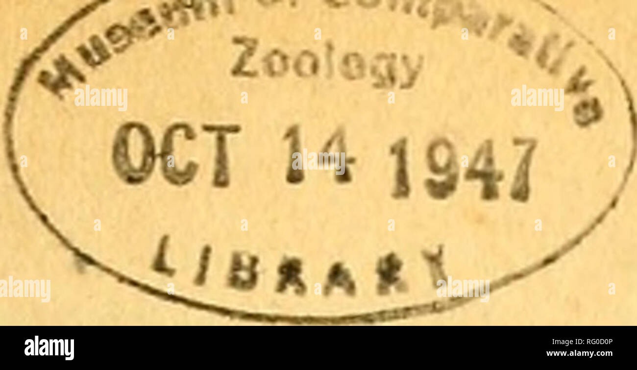 . Die kanadische Feld - naturforscher. . November-dezember 1946] Die kanadische Field-Naturalist 137 INDEX ZU BAND 60 A-Acanthis flammea 71, 78, 82 hornemanni exilipes 130 linaria Linaria 130 Accipiter Velox 50, 125 Acer glabrum Var. Maculata 106 Achillea Millefolium var. lanulosa 106 Acmaeops Proteus 36 Acrididae 44 Acrydium Subulatum 44 Actitis macularia 53, 81, 126 Adalia frigida • 37 zusätzliche Datensätze der alten Feld Birke, Betula populifolia Marsh., in Ontario, von Harold A. Senn und M. N. Zinck 92 Aechmophorus occidentalis 49, 123 Aedes 39 excrucians 39 Agelaius phoeniceus Nigripes 39 9, 57, 1. Stockfoto