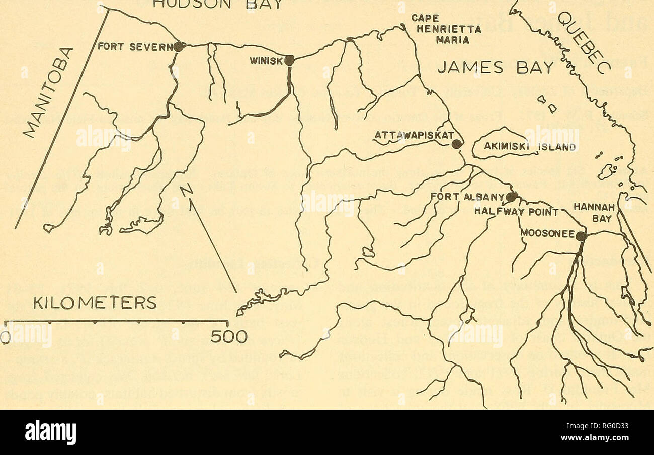 . Die kanadische Feld - naturforscher. 410 Die kanadische Field-Naturalist Vol.87 HUDSON BAY JAMES BAY^^ O. Abbildung 1. Karte von Nordontario zeigt einige Gemeinden im Text erwähnt. Erle - weide Wald mit grösseren, tieferen (1,5 m) Teiche. Winisk Camp (22-28 Juni 1971). Dieses Lager liegt 4,8 km östlich von winisk am Südostufer des Winisk River weniger als 1 Meile von der Hudson Bay. Torf Tundra gibt, sowohl trockene als auch sumpfig, ist übersät mit vielen Teichen und lokal viel durch Aktivitäten, die mit der jetzt - abgebrochene Winisk Royal Canadian Air Force Base in Verbindung gestört. Winisk (28. Juni-5. Juli 1971). Die Stadt Stockfoto