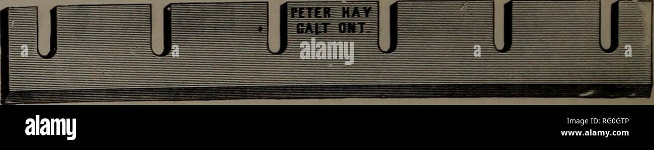 . Kanadische Forstindustrie 1894-1896. Holzschlag; Wälder und Forstwirtschaft; Wald; Wald - zellstoffindustrie; Holz verarbeitenden Industrien. PENETfVNGUISttENE, Ont. Gang Maschine Messer funktioniert. Bitte beachten Sie, dass diese Bilder sind von der gescannten Seite Bilder, die digital für die Lesbarkeit verbessert haben mögen - Färbung und Aussehen dieser Abbildungen können nicht perfekt dem Original ähneln. extrahiert. Don Mills, Ontario: southam Business Publikationen Stockfoto
