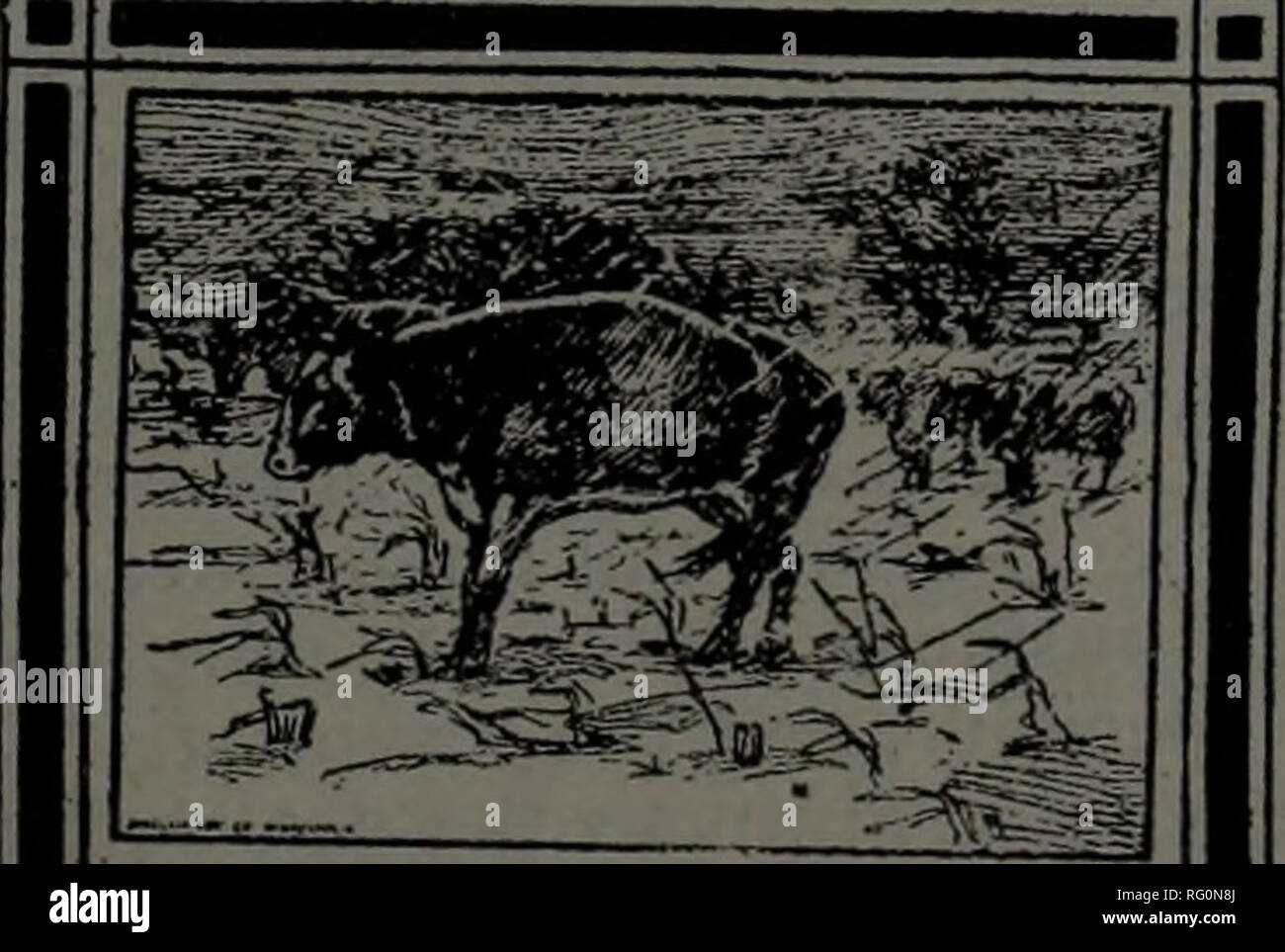 . Kanadische Forstindustrie Januar-Juni 1917. Holzschlag; Wälder und Forstwirtschaft; Wald; Wald - zellstoffindustrie; Holz verarbeitenden Industrien. Wir haben unsere Gangart angeschlagen le, Mi'ich springen guewhilliki 'iis, Imw es i'Imn liegen llUIM | llllg halten. Whi n Wir nicht ln. lilill" Wagen * mit Sägewerk Gebäude Maltnal 'Wir sind Uany erhalten in der neuen Mausern. Gut, es sind hier Fell ointiniwiâiJm&lt; Mama tlie fröhlichere, Mi melden Sie die firowil wliun Zotten unni nichts in der Weise der nativen oder iin | iorli: il Bauholz. T-Ath, Kliinglea, VVIimIiimmhihI Stunde*, Limo, ich "laaler, l. Trick. . ItiiiMtne I "njii-r, hp. , Anil kommen, wo H Stockfoto