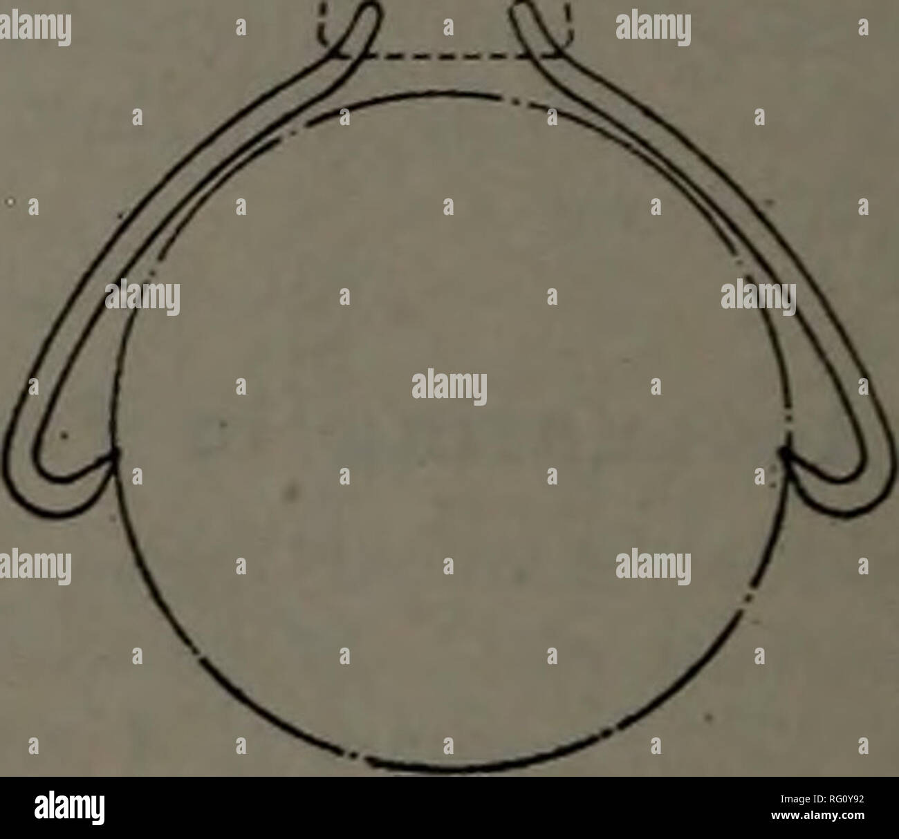 . Kanadische Forstindustrie 1911. Holzschlag; Wälder und Forstwirtschaft; Wald; Wald - zellstoffindustrie; Holz verarbeitenden Industrien. 34 KANADA LUMBERMANANDWOODWORKER und der Presse, der Hilfe benötigt die Furniere zum Kleben von Ma-schinen und der Kleber für den Einsatz bereit zu erhalten, der Arbeitsaufwand für die Platten aus dem Leim Zimmer zu nehmen, und die Hälfte der Vorarbeiter. Dies gibt uns einen durchschnittlichen Kosten von $ 3 pro 1.000 Quadratfuß für Leim zimmer Arbeit an einem 3-ply-Panel. Leim Zimmer Kosten. Wir haben noch ein anderes Element in der Leim, der die Kosten des Klebers zu betrachten. Dies ist ein Element, das variiert, Stockfoto