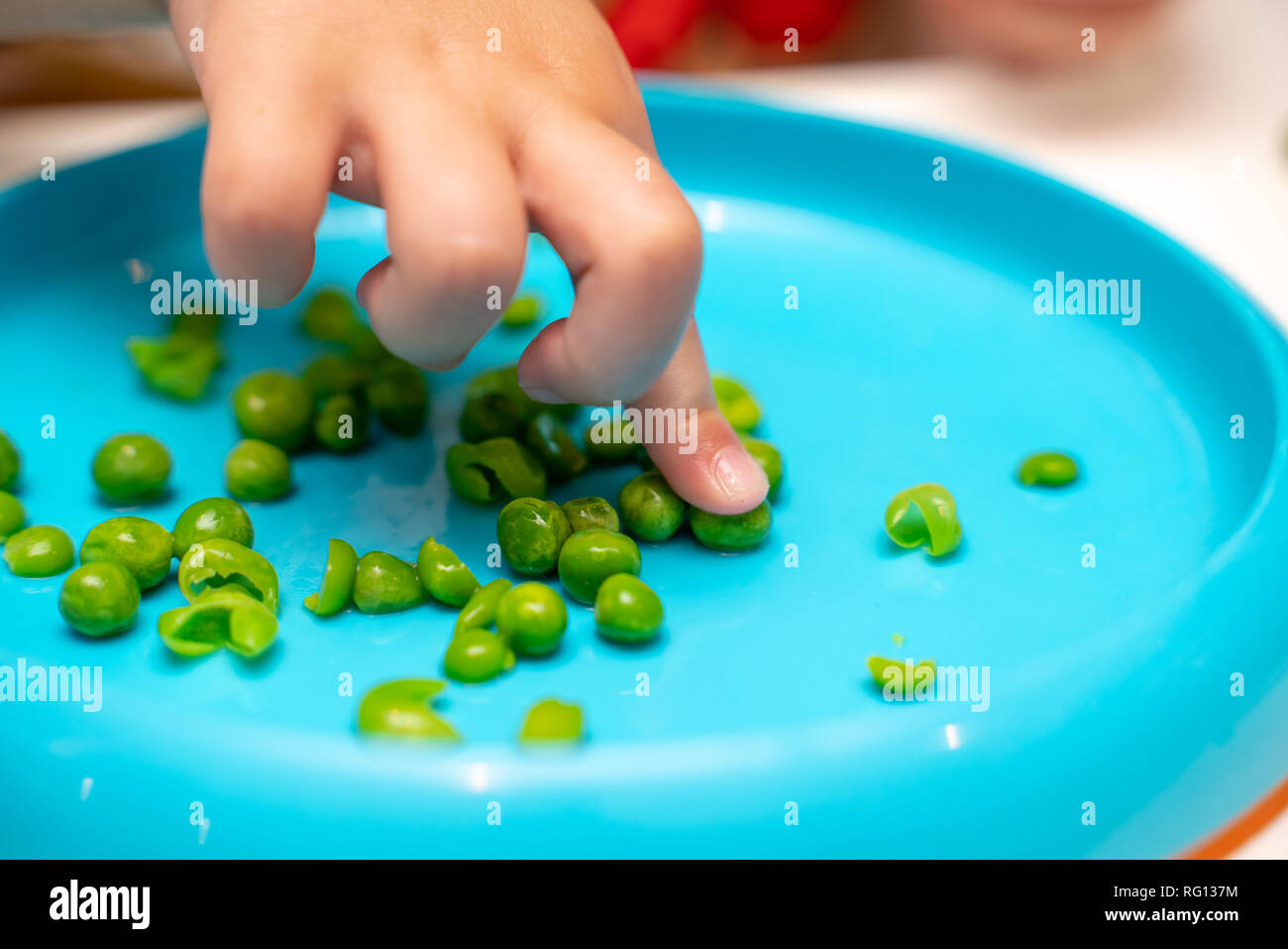 Die Hände des jungen Kindes aufnehmen, spielen und essen Erbsen zum Abendessen wird von einem blauen Platte Stockfoto