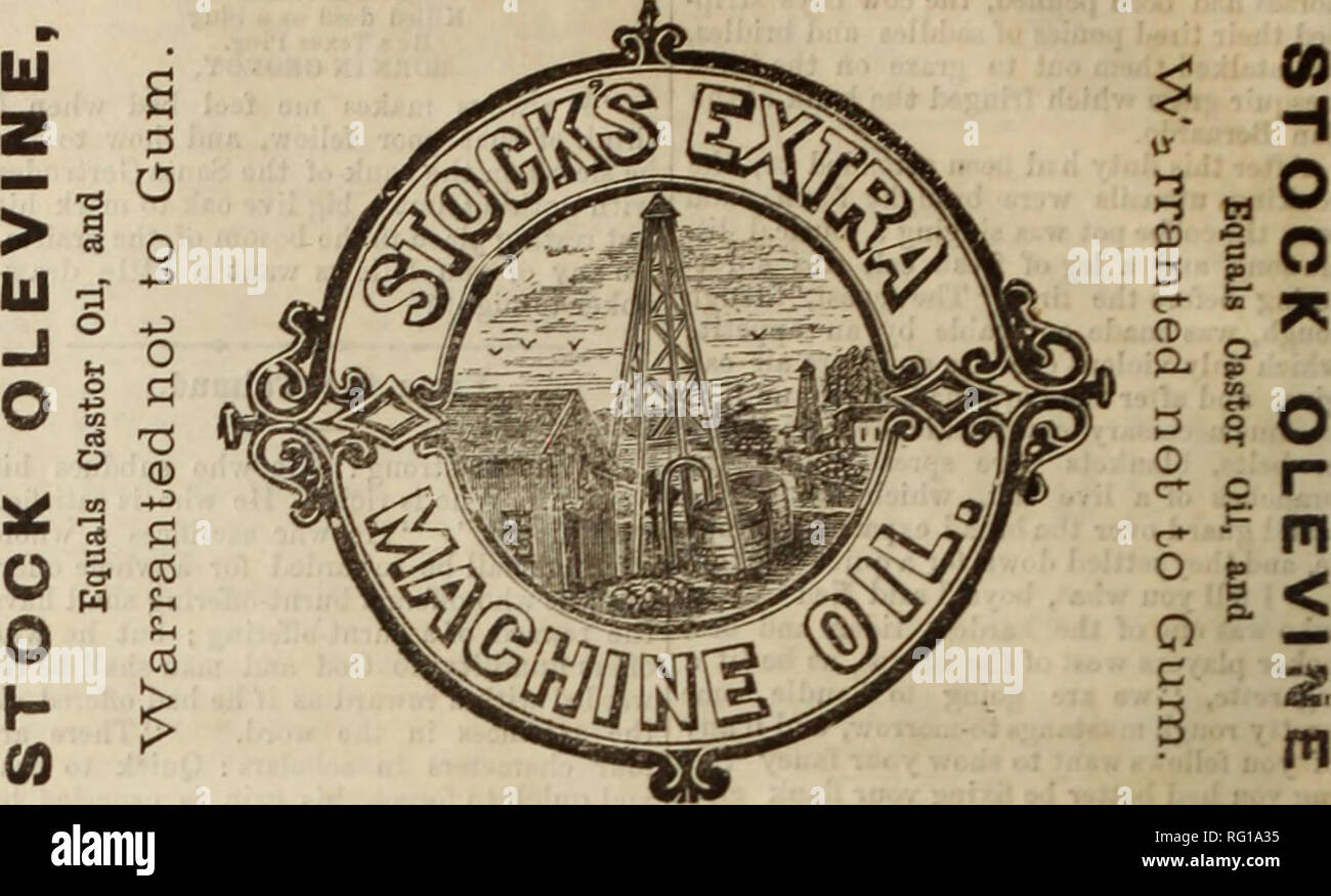 . Kanadische Forstindustrie 1880-1881. Holzschlag; Wälder und Forstwirtschaft; Wald; Wald - zellstoffindustrie; Holz verarbeitenden Industrien. Mühlstein hacken Mühlen für die Holzfäller. Wil Schleifen als Line wie alle vier Fuß Stein. Holzfäller, giind Ihr eigenes Pferd füttern. "^1" iMMffflfSi garantiert jede Art von Getreide, fein oder grob zu schleifen, genauso gut, als vier Fuß Mühlstein. WATEROUS ENGINE WORKS CO., BRANTFORD. Kanada. Ihr eigenes Mehl mit unseren tragbaren Grist Mill. Preis, Griat Mühle, 600 $. Kapazität, unsere eineinhalb Barrel gutes Mehl pro Stunde. Tor Angaben senden, Adresse Stockfoto