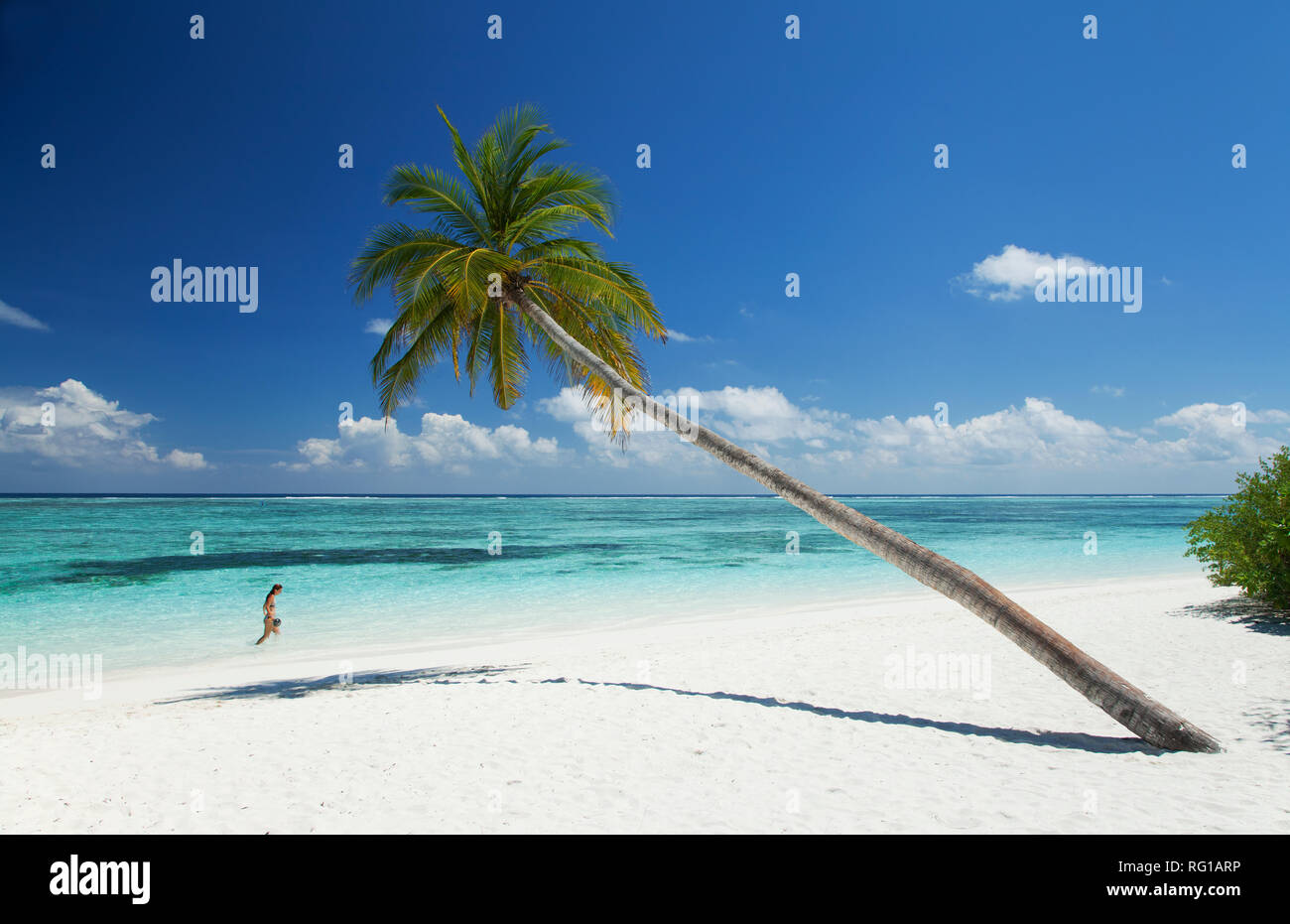 Frau in Meer und Palmen am weißen Sandstrand, Meeru Island Resort, Malediven, Indischer Ozean, Asien Stockfoto