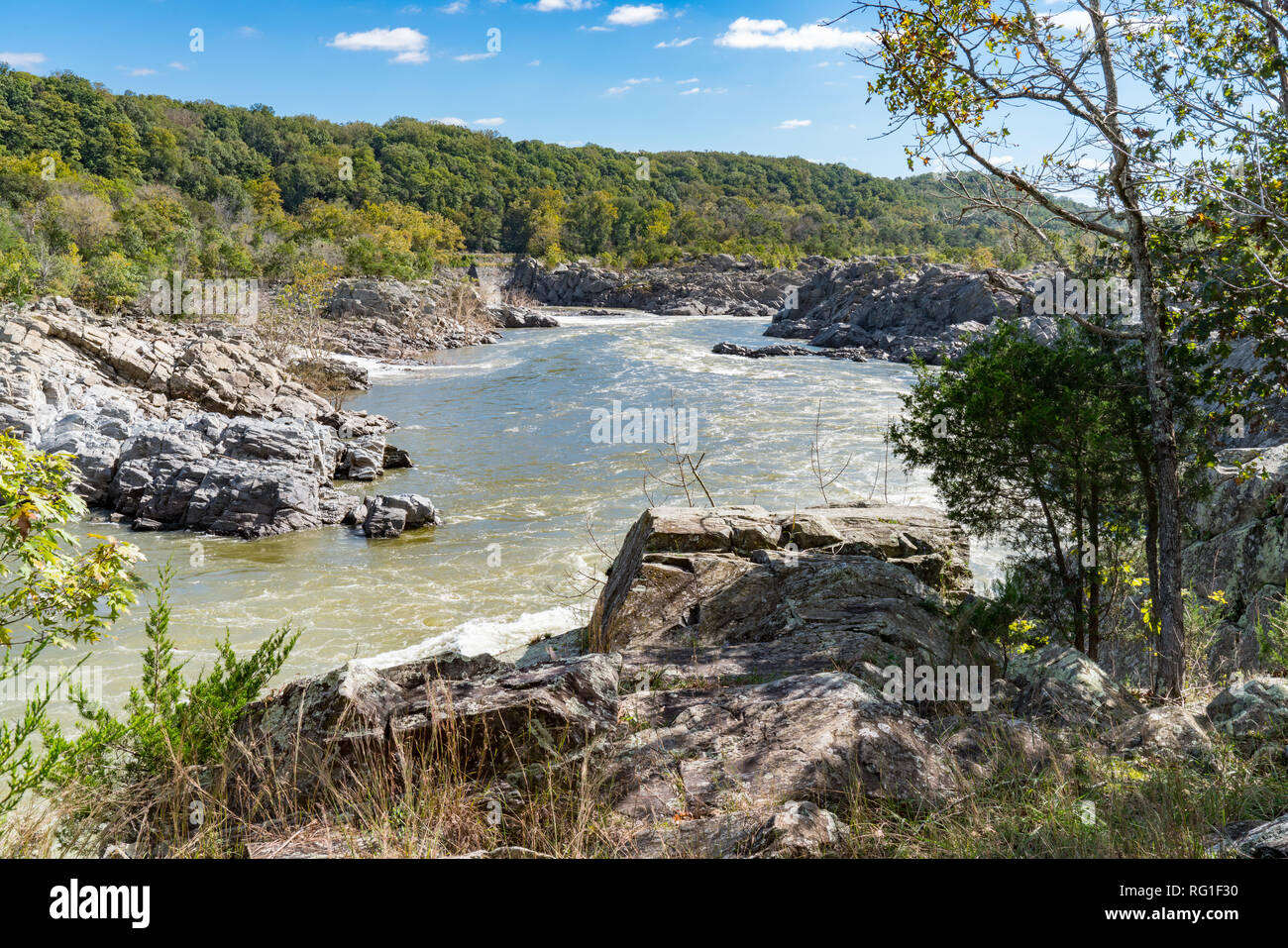 Potomac River entlang der Great Falls National Park, Virginia Stockfoto