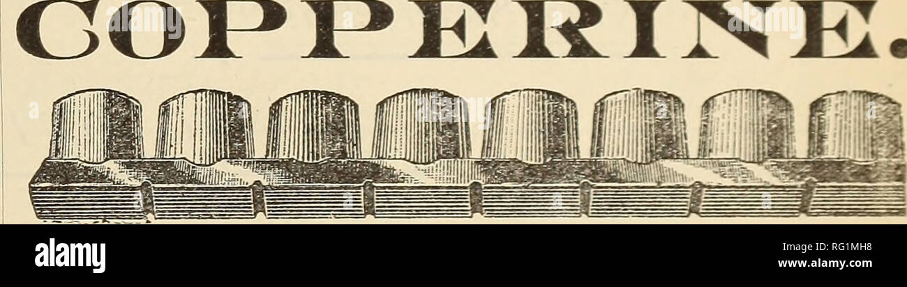 . Kanadische Forstindustrie 1886-1888. Holzschlag; Wälder und Forstwirtschaft; Wald; Wald - zellstoffindustrie; Holz verarbeitenden Industrien. YO 11 1 BPING, CH ECKINQ UND BLÄUEN âWITH - STURTEVANT Patent heißen Blast StRarn Heizgeräte. 31 N. Canal Street, Chicago. B.F. STURTEVANT, Patentinhaber und einziger Hersteller, Boston, Mass., USA â¡NTARID DLL-CD. 7 Clmrch StrBEt, Toronto, Dnt. Â ¢ #* A. • LtDDDBY, Manager. ##[Nachfolger BOWDEN 4. Co.,] ALLEINIGE EMPFÄNGER VON SOUTHWICK GEFEIERT SCHMIERÖLE &Amp; Fette. Wir bitten unsere Kunden zu beraten und den Handel im Allgemeinen, dass B gelungen Stockfoto