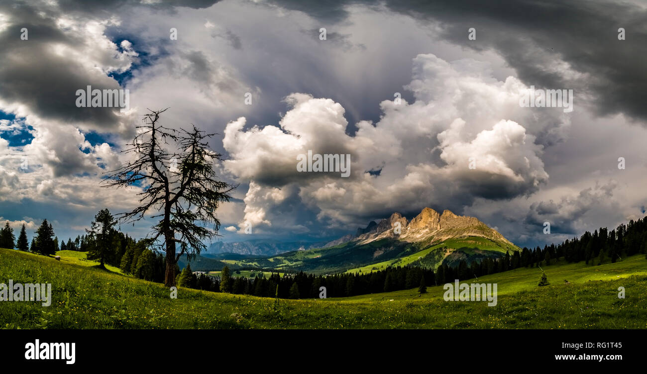 Sicht auf die Berge, Rosengarten, Rosengarten, von den Weiden von Alm Latemar, dunkle Gewitterwolken näher betrachtet Stockfoto