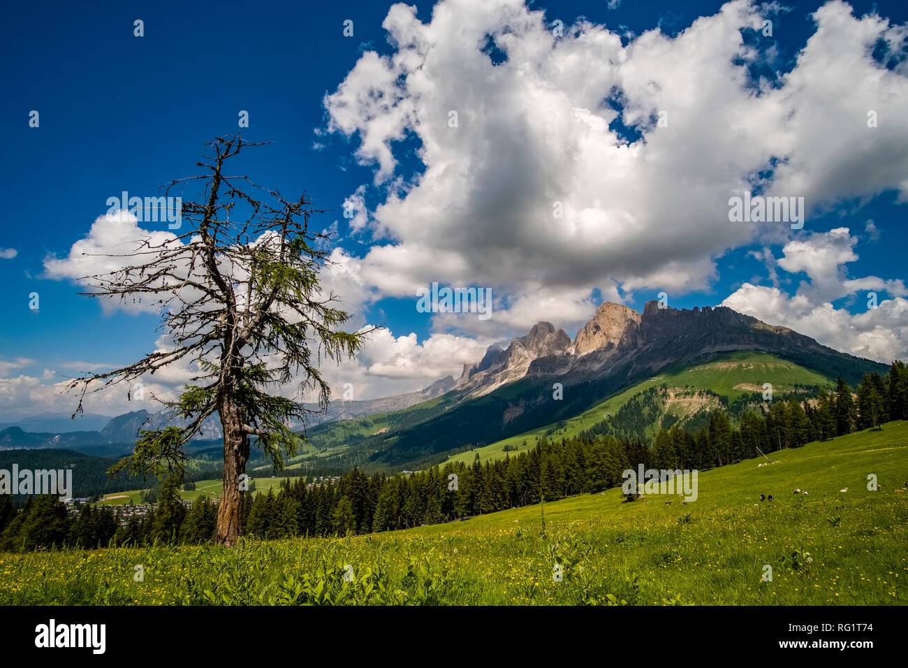 Die Berge Rosengarten, Rosengarten, von den Weiden von Alm Latemar gesehen Stockfoto