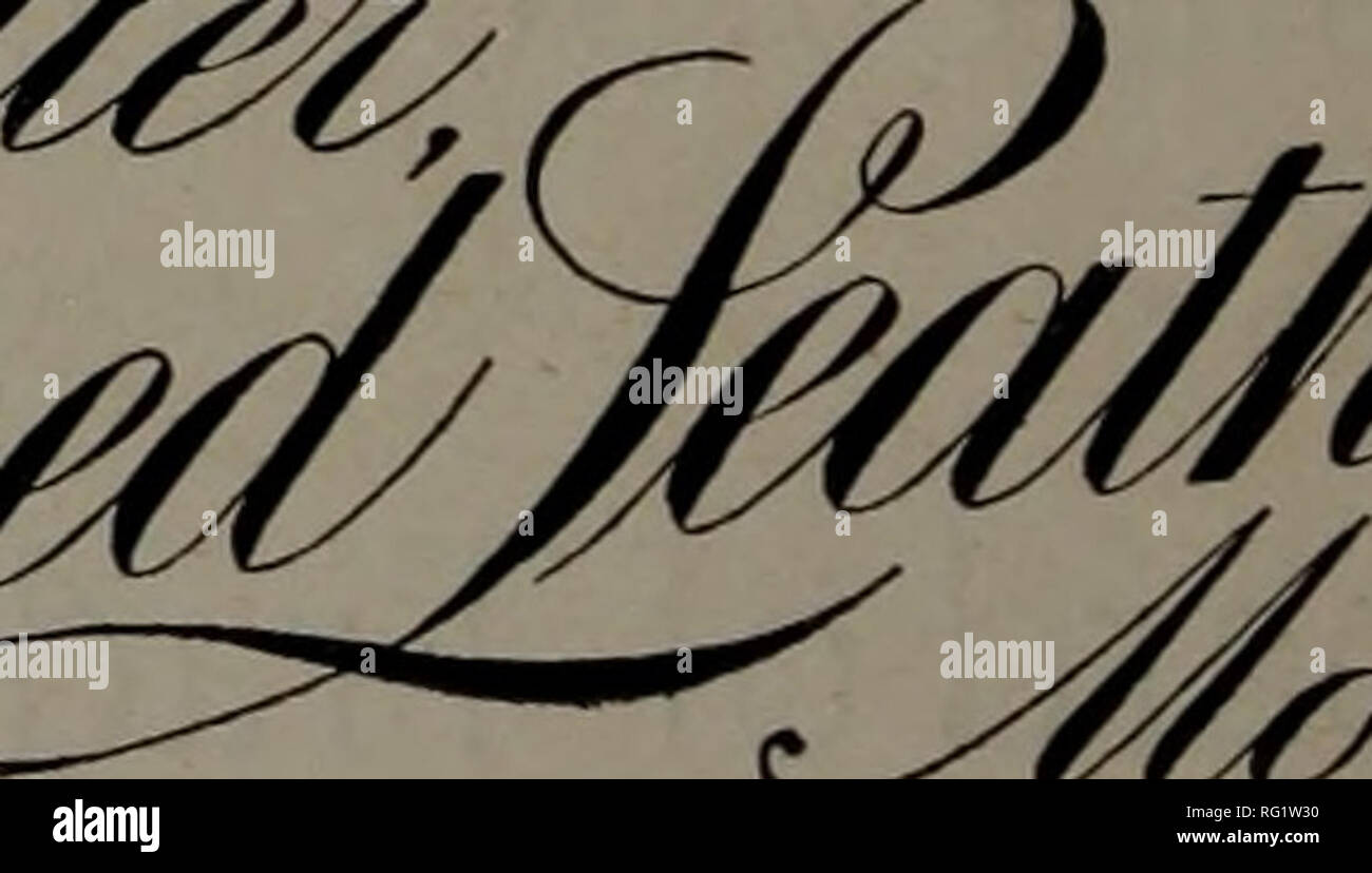 . Kanadische Forstindustrie 1894-1896. Holzschlag; Wälder und Forstwirtschaft; Wald; Wald - zellstoffindustrie; Holz verarbeitenden Industrien. Holzfäller IHR UNTERNEHMEN GEHOLFEN WIRD, DIE DURCH WERBUNG IN DER. Kanada Lumberman/v^ANUFACTURERS der. Bitte beachten Sie, dass diese Bilder sind von der gescannten Seite Bilder, die digital für die Lesbarkeit verbessert haben mögen - Färbung und Aussehen dieser Abbildungen können nicht perfekt dem Original ähneln. extrahiert. Don Mills, Ontario: southam Business Publikationen Stockfoto