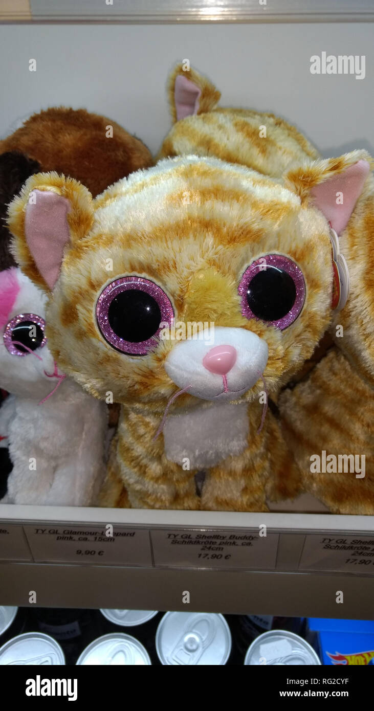 Katze kuscheln Spielzeug mit großen Augen Stockfoto