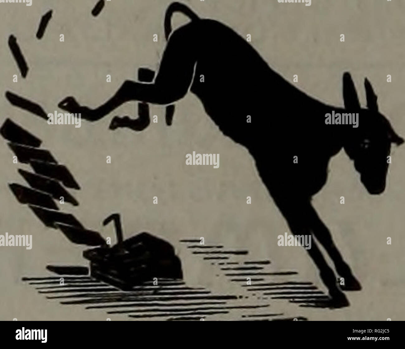 . Kanadische Forstindustrie 1899-1901. Holzschlag; Wälder und Forstwirtschaft; Wald; Wald - zellstoffindustrie; Holz verarbeitenden Industrien. Kanada Lumberman wöchentliche Ausgabe August 28, IQOI F. Deich; Schröter. Syawara, für New York, 1,801,500 n. Latten von J. B. Schneeball Co. aus Vancouver: Schr. Golden Shore, für Sydney, Aubtralia, 785,456 ft. Grobe Tanne, 27,744 ft. genutet und gefedert Tanne, Wert $ 6,742, B.C., Mühlen, Holz- und Trading Co.; Str. Guernsey für Manilla, 173,502 ft. Grobe Tanne, Wert $ 1.384, B.C., Mühlen, Holz- und Trading Co.; Str. Guernsey, für China und Japan, 1.200.000 ft. Rau und Stockfoto