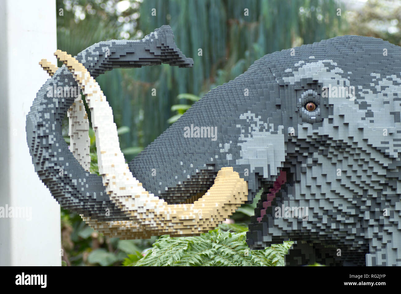 Lego elefant -Fotos und -Bildmaterial in hoher Auflösung – Alamy