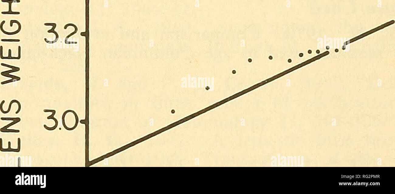 . Die kanadische Feld - naturforscher. 44 31 14 12 J (0 Y=-Lll 55 +340.89 X-335 82 X^+ 109 29 x'-0,45 x'' 2^2 4^2 6^10^2 Q12/2 ALTER VON ROTWILD DURCH ALTER-Klasse auf der Grundlage von WURZELZEMENT ANNULI Abbildung 1. Wachstumskurve für die augenlinse von Black-tailed deer auf Vancouver Island, British Columbia. Horizontale Linien stellen den Bereich der Linse Gewichte für jede Altersklasse über die mittlere objektiv Gewicht (eingekreist). Die kleine Rechtecke stellen die 95% Konfidenzintervalle über den Eingekreisten bedeutet. Die kleinen Zahlen oberhalb der Kurve repräsentieren die Stichprobengrößen in jeder Altersklasse aufeinander folgenden Altersklassen waren bedeutend dif Stockfoto