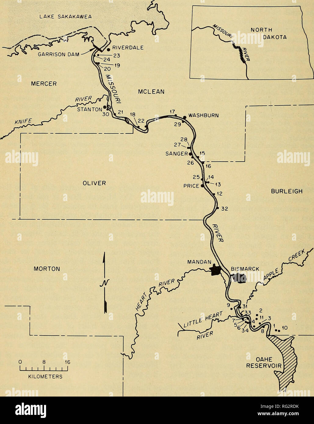 . Die kanadische Feld - naturforscher. Die kanadische Fieed-Naturalist Vol. 89 Beschreibung der Studie Gewässern des Oahe Reservoir, die in etwa ap - Lage der südlichen Grenze von Burleigh der Studie unmittelbare (Abbildung 1) ist begrenzt, GRAFSCHAFT (Ca. 46°36'30" N, 100° 37' 30" W). Im Norden von Garrison Dam (47° 30' N, 101° innerhalb dieser Region, der Fluss schlängelt sich für 27' 30" W) und im Süden durch die Back-up-approxhnately 130 km in südöstlicher Richtung LAKE SAKAKAWEA. 0 8 16 1 I I I I I I I I KILOMETER Abbildung 1. Die Lage der Studie innerhalb von North Dakota und der allgemeinen Loca Stockfoto